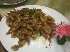 滩涂小白虾-渔傅·蓝海岸霞浦海鲜(正祥店)