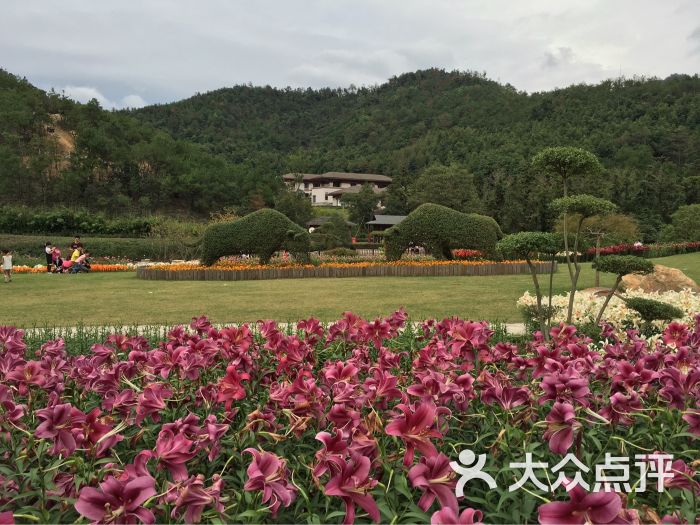 东钱湖南苑花博园图片 - 第3张