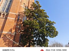 -上海佘山国家森林公园西佘山园