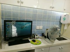 -荣耀金沙动物医院(清江西路店)