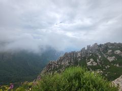 -芦芽山旅游度假区