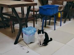 -老二烧烤砂锅(向东南路店)