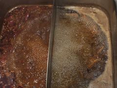 -颐辰舍岁岁羊(文昌万达景园店)