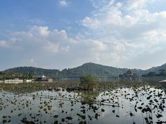 -顺峰山公园