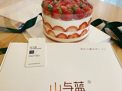 -山与蓝·轻糖鲜果蛋糕(勒泰店)