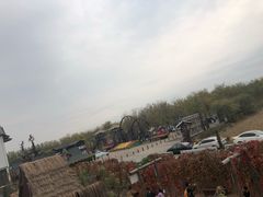 -呀路古热带植物园