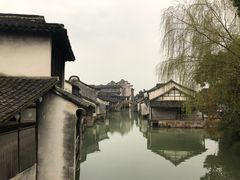 -乌镇西栅景区