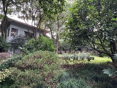 -中国茶叶博物馆(双峰馆区)