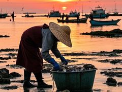 -南通濠河风景名胜区