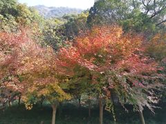 -黄公望隐居地
