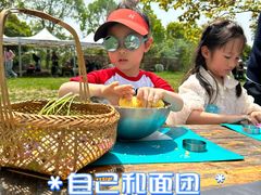 -九善农植有机生活农场