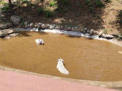 -石家庄市动物园