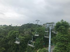 -圣淘沙天际线斜坡滑车