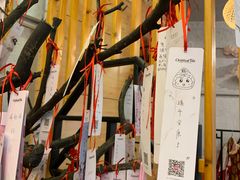 -茶颜观色(晋江店)