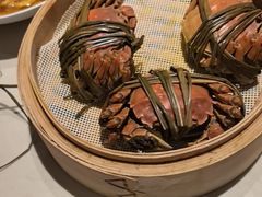 -杨氏青龙虾·羊蝎子(金盛路总店)