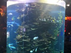 -泉城欧乐堡海洋极地世界
