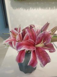 -宜肤清颜专业祛痘问题肌修护