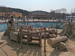 -沈阳森林动物园