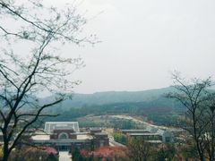 景点-照金红色旅游名镇