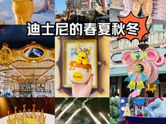 -上海迪士尼度假区