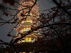 -红梅公园