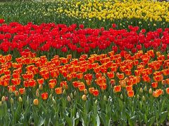 -西宁市人民公园(城西区)