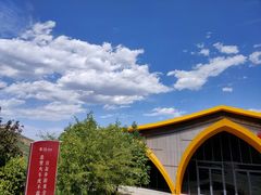 -黄金寨原生态旅游区
