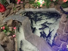 -春盛渔府(牛首山店)