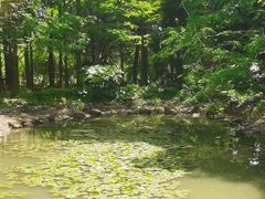 -苏州河梦清园环保主题公园