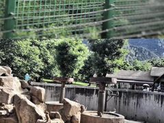 -西安秦岭野生动物园