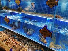 -小平岛開海水饺(浑南店)