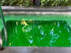 -广州从化都喜泰丽度假温泉酒店