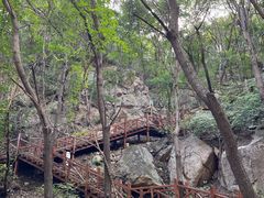 -大岭沟猕猴桃谷风景区