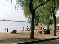-丁香湖公园