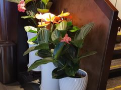 -喜湘宴·精致湖南菜(和平西桥店)