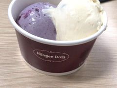 -哈根达斯(石家庄北国店)