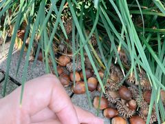 -上海市保健医疗中心