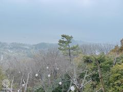 -狼山风景名胜区