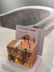 -MIDA蜜哒•科技逆龄美肤连锁