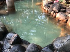 -张家港金凤凰度假村温泉