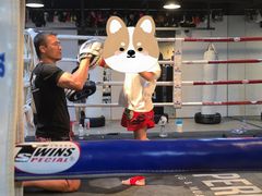 -Uppercut拳馆·Boxing拳击·Muay Thai泰拳