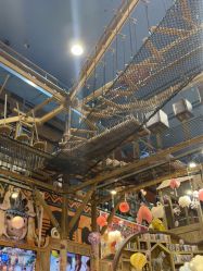 -卡通尼·Safari非洲探索乐园·生日会(金桥国际商业广场店)