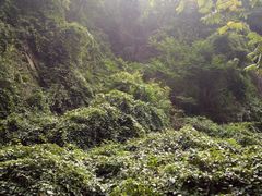 -雾灵西峰