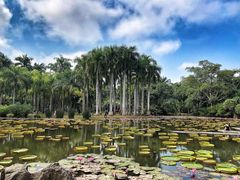 -中国科学院西双版纳热带植物园