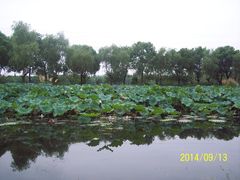 -昆山城市生态森林公园