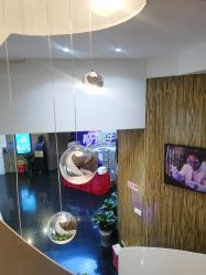 -比华利美容医院