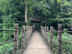 -凤栖山