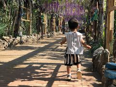 -呀路古热带植物园