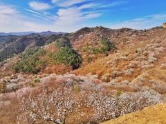 -蟠龙山长城景区