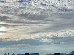 -哈素海